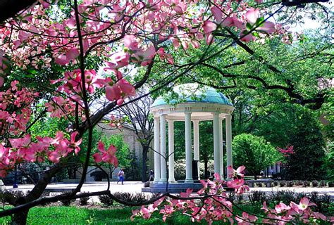 Things to do in chapel hill. Things To Know About Things to do in chapel hill. 